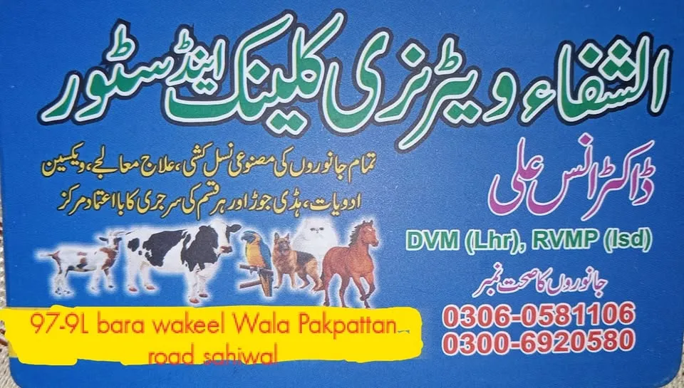 Gallery photo of Al-Shifa Vet Clinic