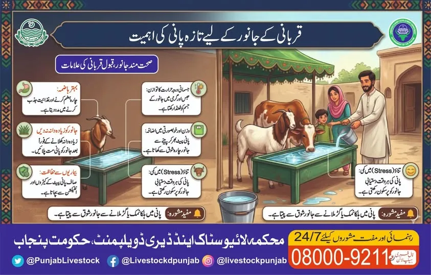 Gallery photo of Office of Additional Director Livestock Sahiwal