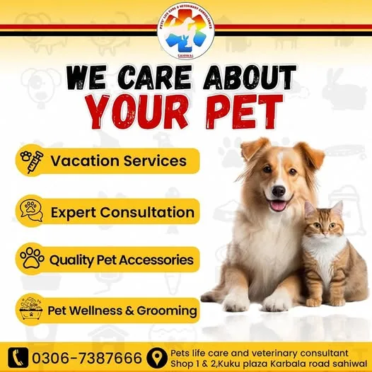 Gallery photo of PETS' LIFE CARE AND VETERINARY CONSULTANTS