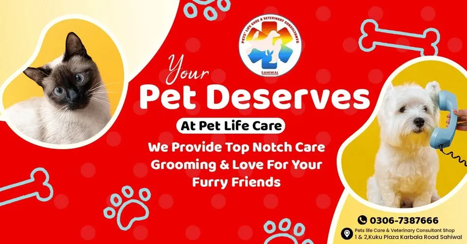 Gallery photo of PETS' LIFE CARE AND VETERINARY CONSULTANTS