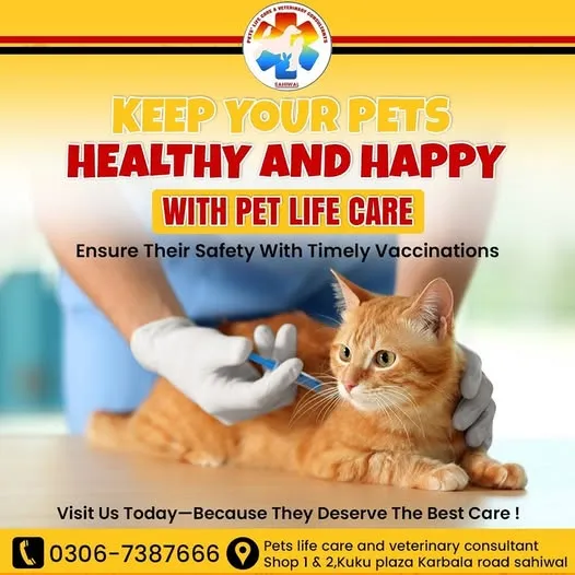 Gallery photo of PETS' LIFE CARE AND VETERINARY CONSULTANTS