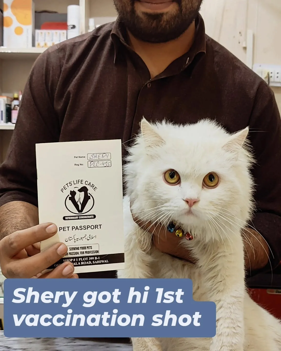 Gallery photo of PETS' LIFE CARE AND VETERINARY CONSULTANTS
