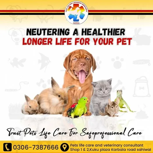 Gallery photo of PETS' LIFE CARE AND VETERINARY CONSULTANTS